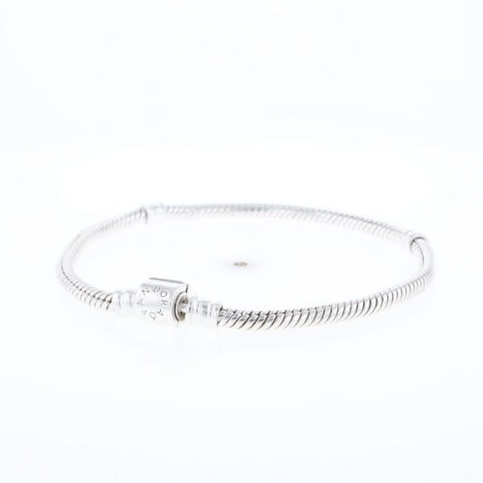 Pandora Moments Charm Bracelet