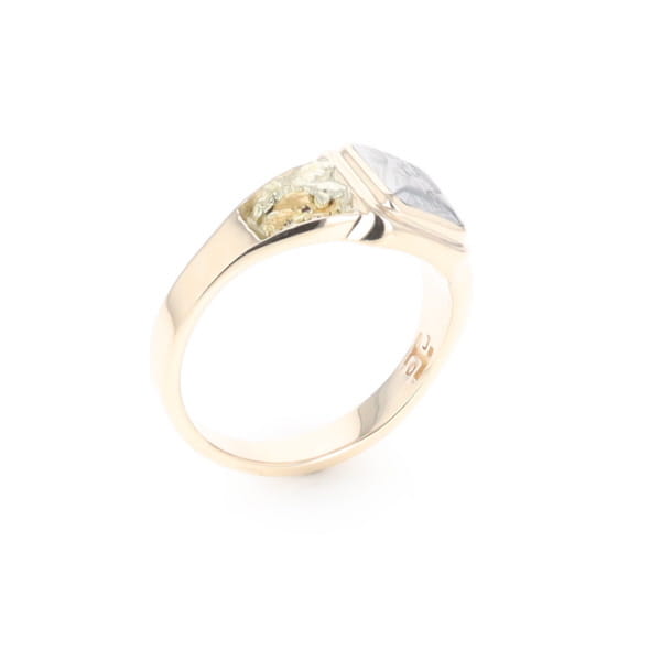 Meteorite & Gold Nugget Ring