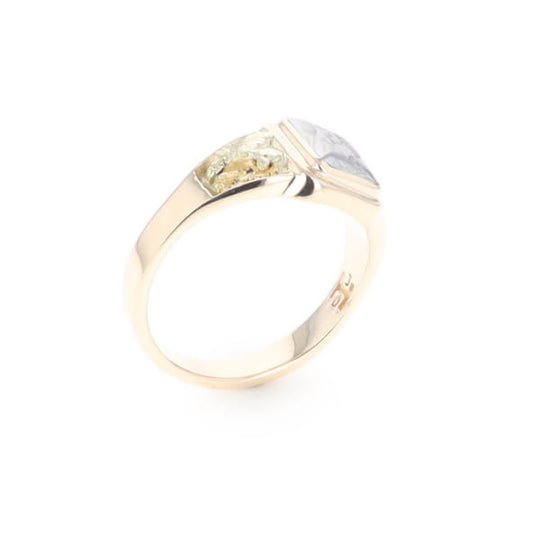 Meteorite & Gold Nugget Ring