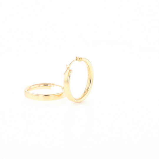 Gold Hoop Earrings