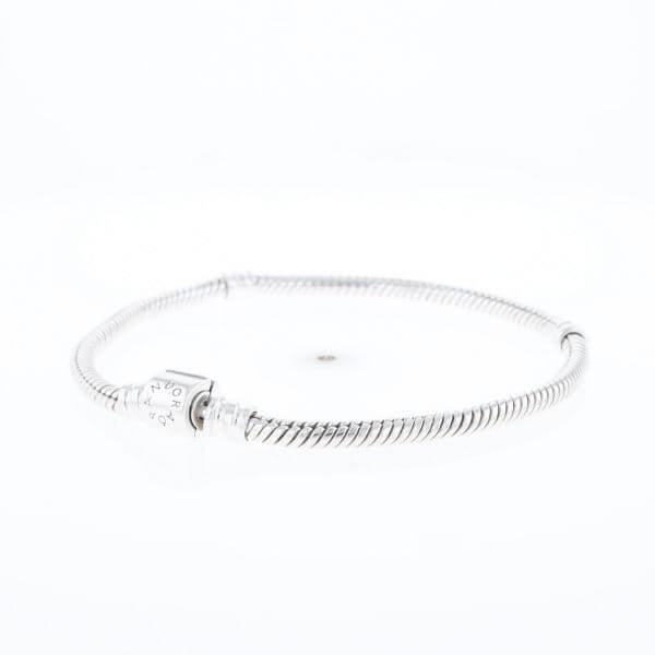 Pandora Moments Charm Bracelet