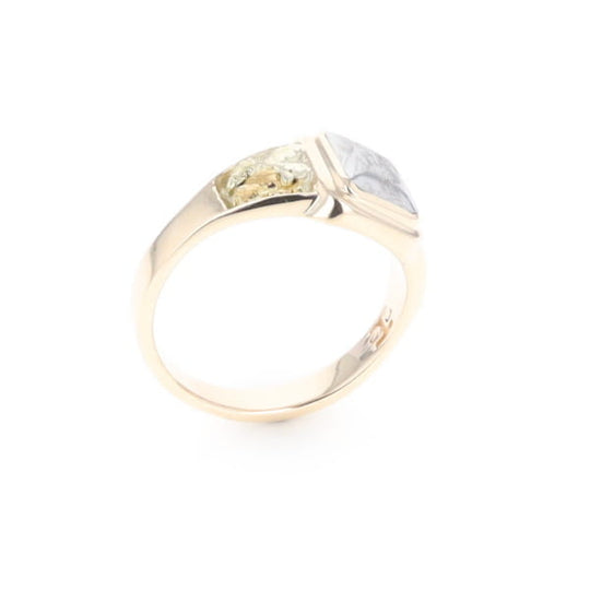 Meteorite & Gold Nugget Ring