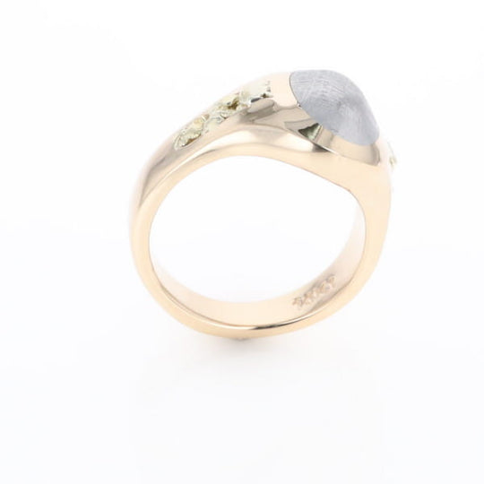 Oval Meteorite Inlaid Ring with Natural Gold Nuggets