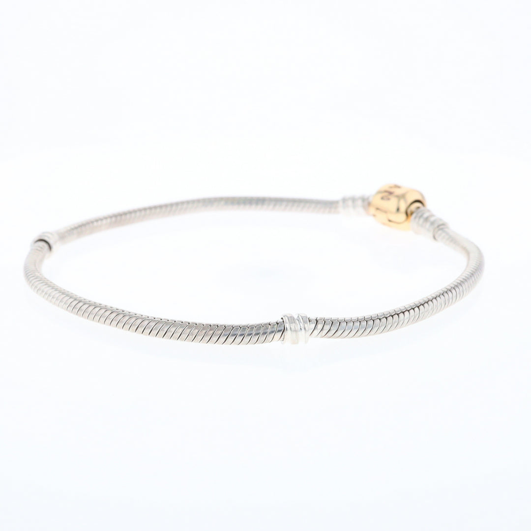 Sterling Silver Pandora Bracelet