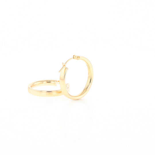 Gold Hoop Earrings