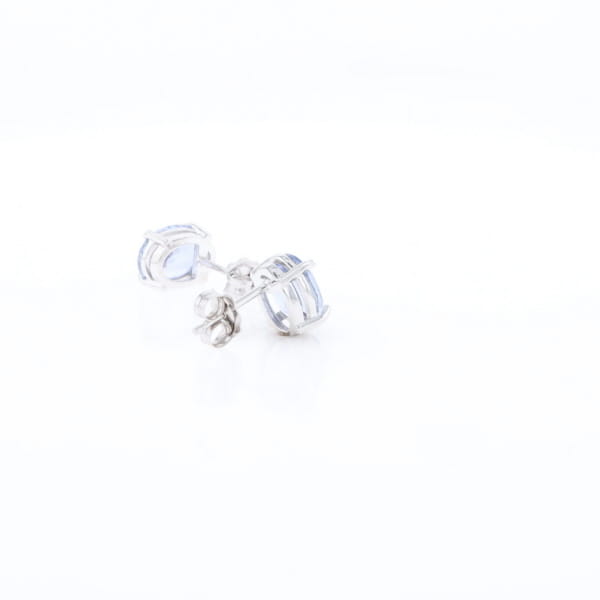 Ceylon Sapphire Stud Earrings