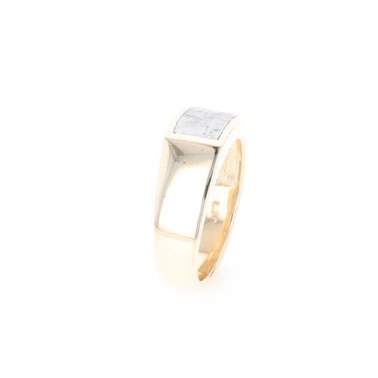 Rectangle Meteorite Inlaid Ring
