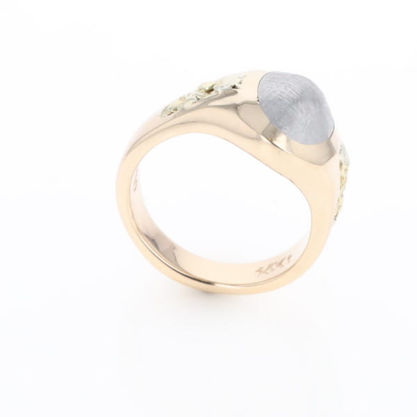 Oval Meteorite Inlaid Ring with Natural Gold Nuggets