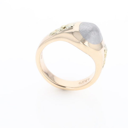 Oval Meteorite Inlaid Ring with Natural Gold Nuggets