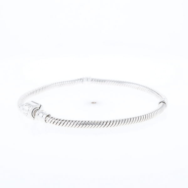 Pandora Moments Charm Bracelet