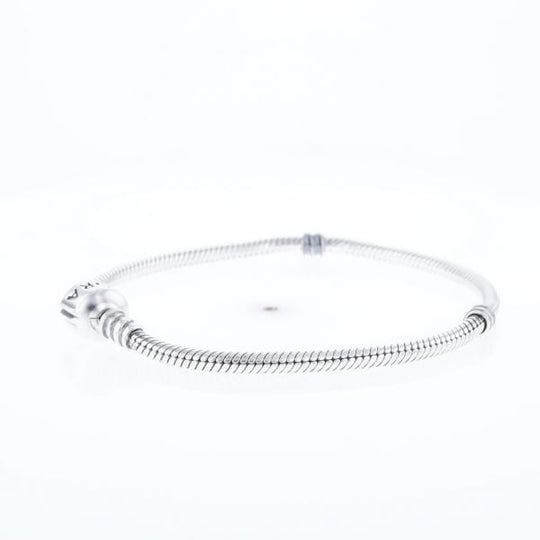 Pandora Moments Charm Bracelet