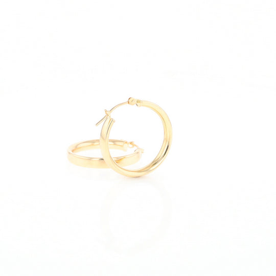 Gold Hoop Earrings