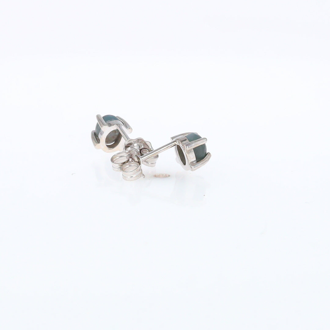 Cat's Eye Alexandrite Studs