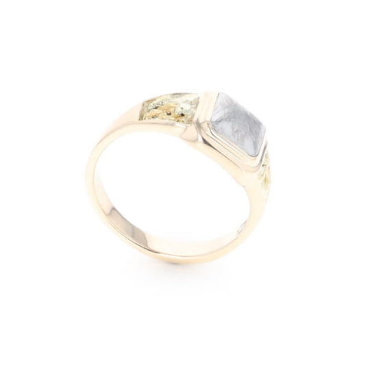 Meteorite & Gold Nugget Ring