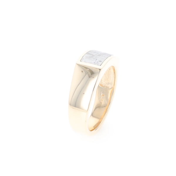 Rectangle Meteorite Inlaid Ring
