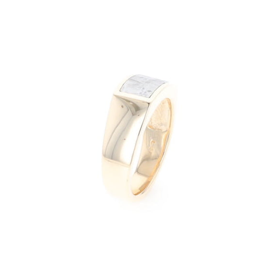 Rectangle Meteorite Inlaid Ring
