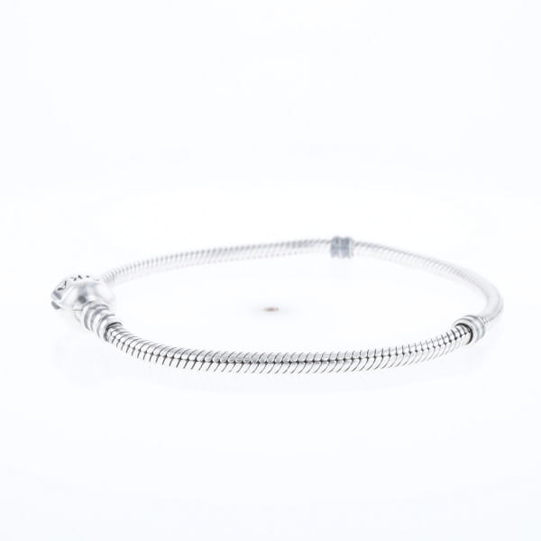 Pandora Moments Charm Bracelet