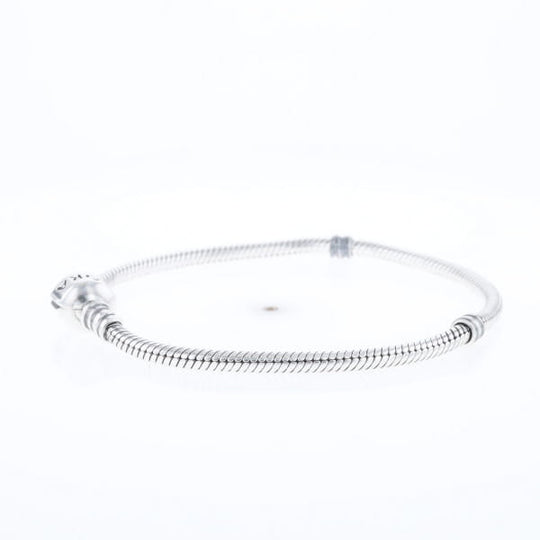 Pandora Moments Charm Bracelet