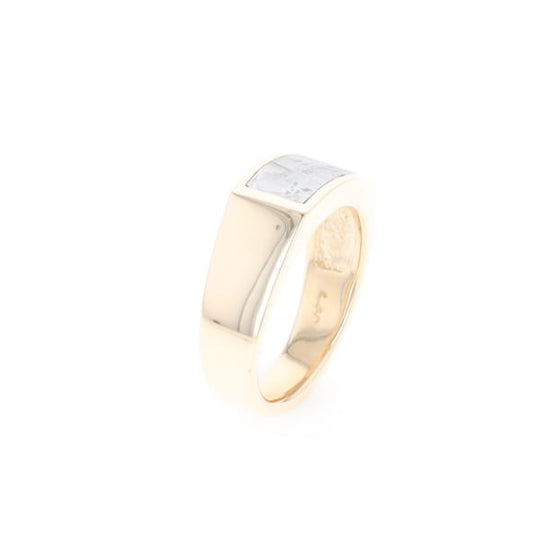 Rectangle Meteorite Inlaid Ring