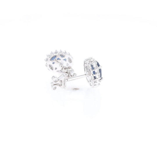 Oval Blue Sapphire Earrings With Halo