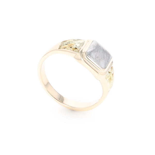 Meteorite & Gold Nugget Ring