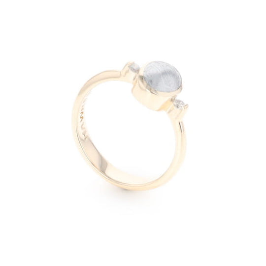 Meteorite Oval Inlay Ring