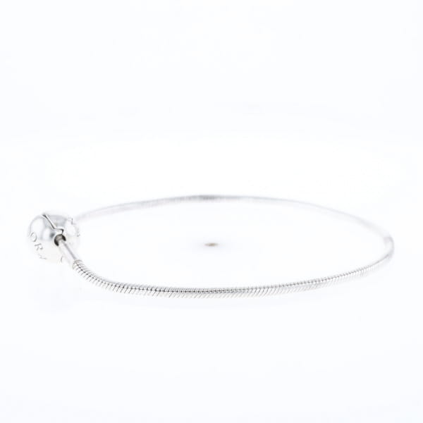 Pandora Moments Charm Bracelet