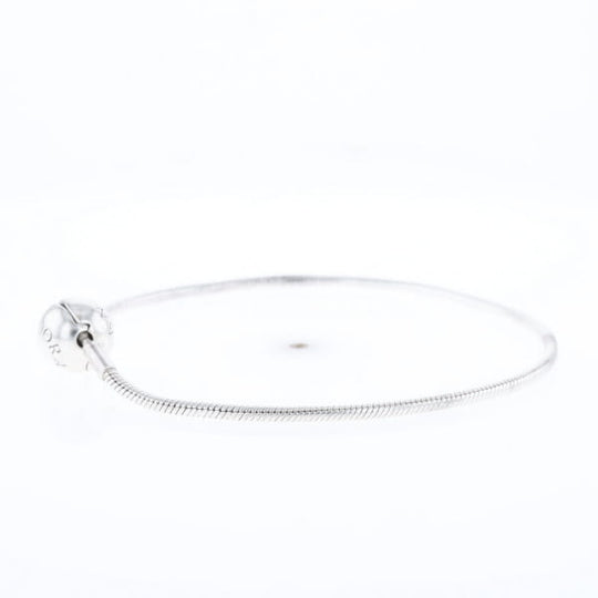 Pandora Moments Charm Bracelet