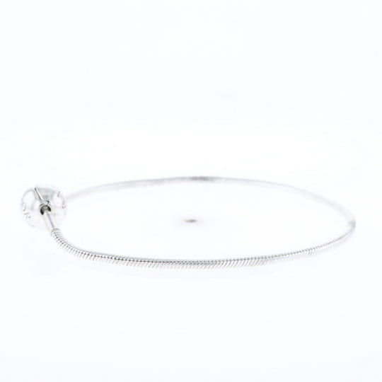 Pandora Moments Charm Bracelet