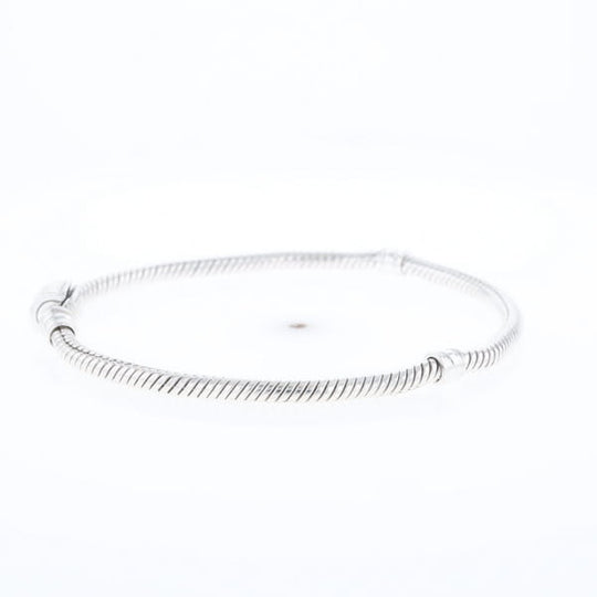 Pandora Moments Charm Bracelet