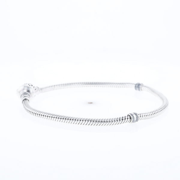 Pandora Moments Charm Bracelet