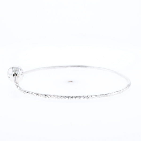 Pandora Moments Charm Bracelet