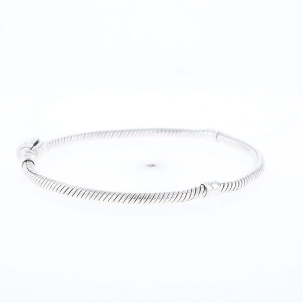 Pandora Moments Charm Bracelet