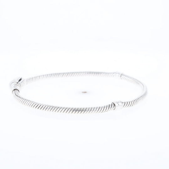 Pandora Moments Charm Bracelet