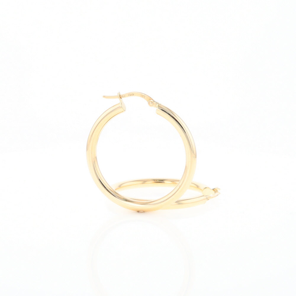 Gold Hoop Earrings