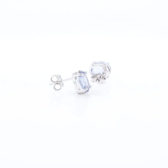 Ceylon Sapphire Stud Earrings