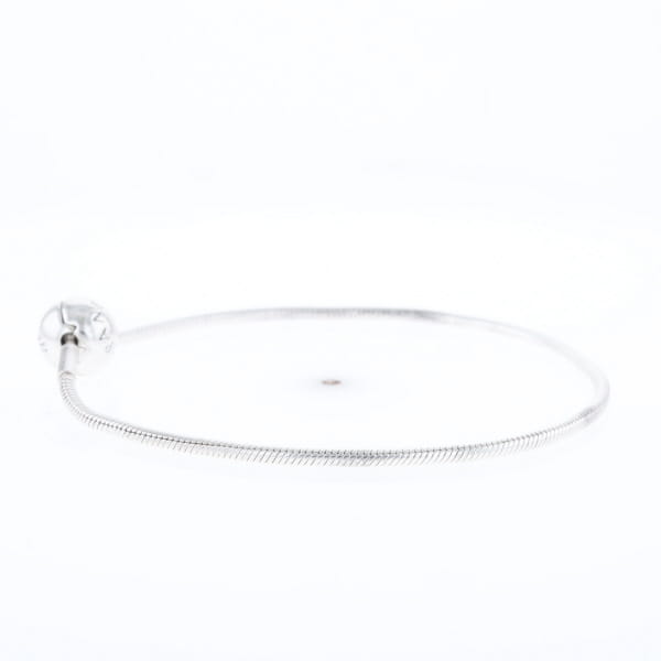 Pandora Moments Charm Bracelet