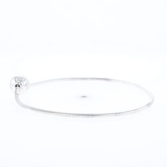Pandora Moments Charm Bracelet