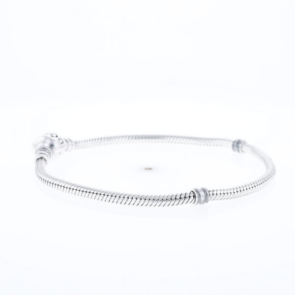 Pandora Moments Charm Bracelet