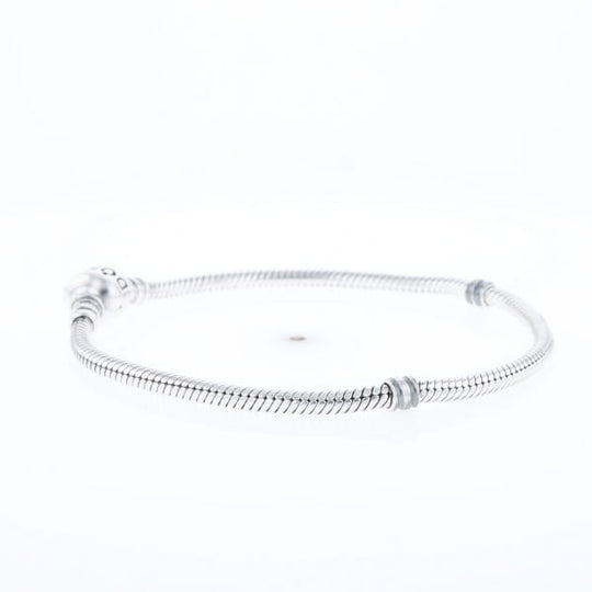 Pandora Moments Charm Bracelet