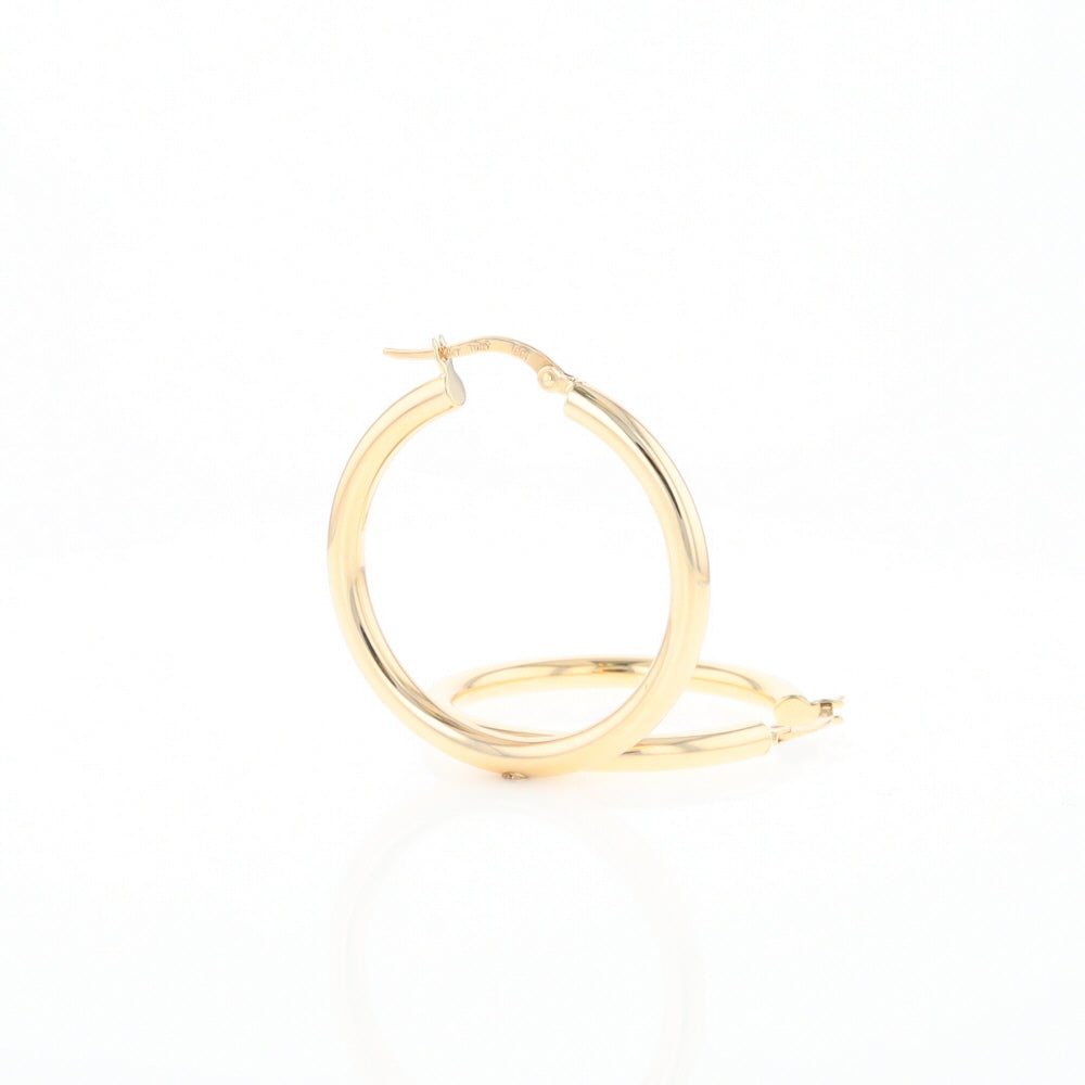 Gold Hoop Earrings