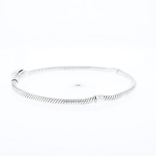 Pandora Moments Charm Bracelet