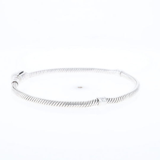 Pandora Moments Charm Bracelet