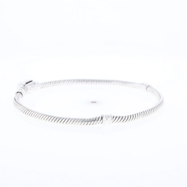 Pandora Moments Charm Bracelet