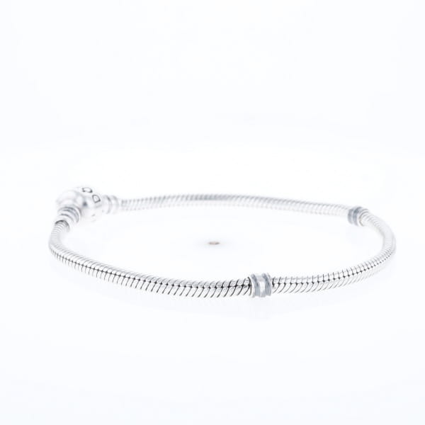 Pandora Moments Charm Bracelet