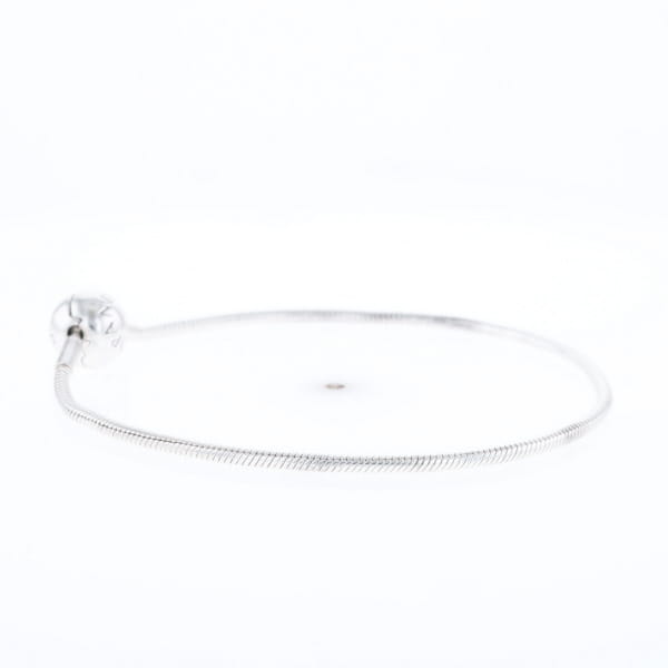 Pandora Moments Charm Bracelet