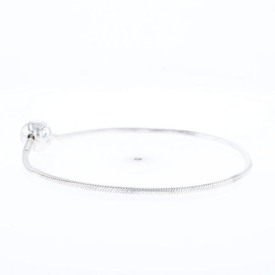 Pandora Moments Charm Bracelet