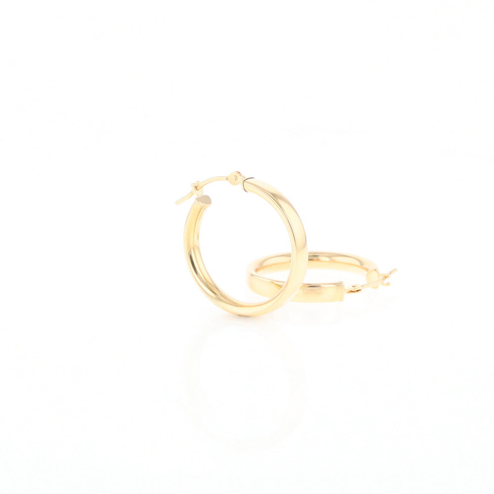 Gold Hoop Earrings