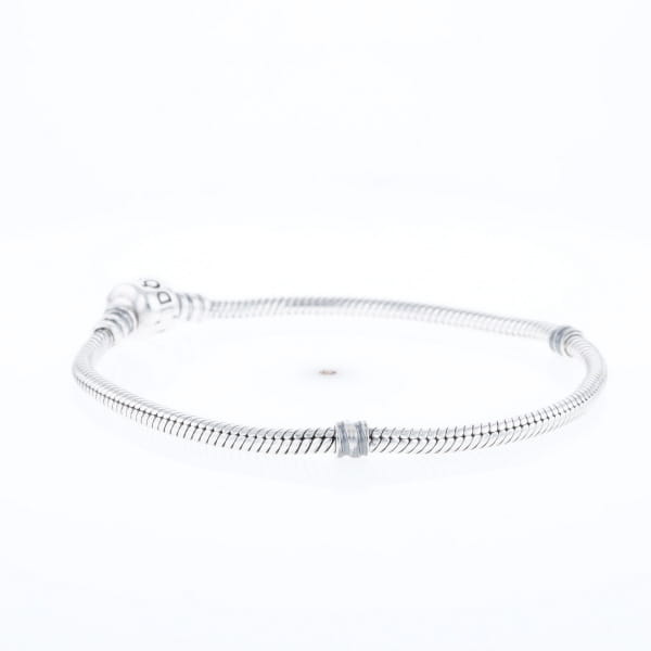 Pandora Moments Charm Bracelet