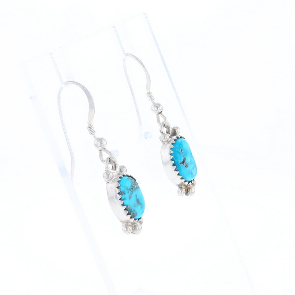 Native Dangle Turquoise Bead Earrings